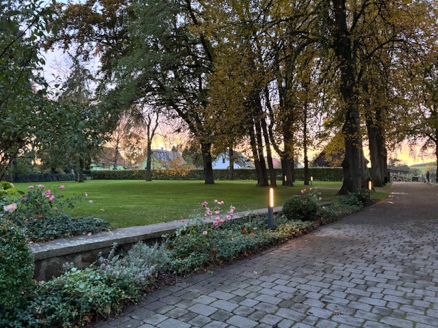 Grünes Gras im Sonnenschein